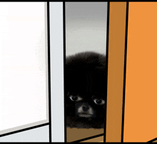 a black dog is peeking through a doorway