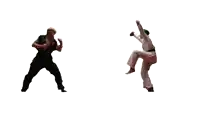 a poster that says make it crane with two karate fighters on it