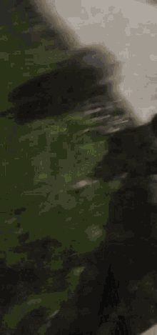 a blurry picture of a person riding a motorcycle on a road .