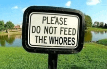a sign that says please do not feed the whores on it