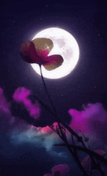 a full moon shines brightly over a flower in the night sky .