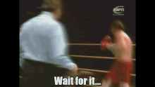 Mike Tyson Fight GIF - Mike Tyson Fight Game GIFs