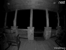 Cat Nightime Stroll GIF - Cat Nightime Stroll Cat At The Porch GIFs