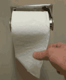 Toilet Paper Dio Opinion GIF - Toilet Paper Dio Opinion Toilet Roll GIFs