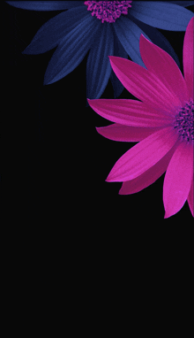 Dark Flower GIF