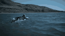 Swimming With Sharks Lou GIF - Swimming With Sharks Lou Lou Simms GIFs