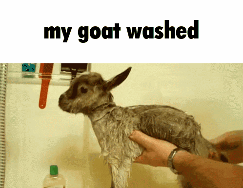 my-goat-washed-my-goat-is-washed.png