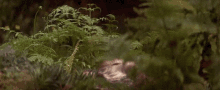 Whats That Storm GIF - Whats That Storm The Dark Crystal GIFs