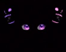 a pair of purple eyes are glowing in the dark in a dark room .