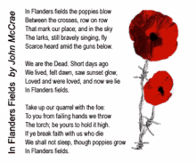 in flanders field rememberance day flowers poem