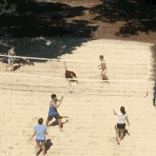 Sand Volleyball GIF - Sand Volleyball Push GIFs
