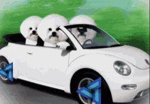 Dogs Driving GIF - Dogs Driving Bopping GIFs