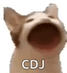 a close up of a dog with its mouth open and the words cdj written on it .