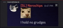a picture of a cat with the words i hold no grudges on it