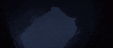a bird is flying through a dark cave
