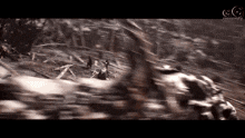 a blurry picture of a forest with the letters gg on the bottom left