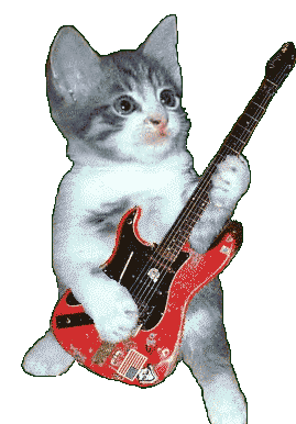 Gato Guitarra Sticker - Gato Guitarra Hola Stickers
