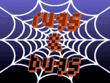 a spider web with the words " bugs " written on it