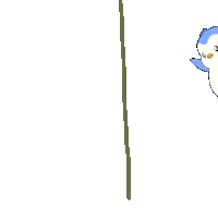 a penguin is sitting on a tree branch with a white background