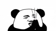 a panda bear is making a funny face with its hands folded in prayer .