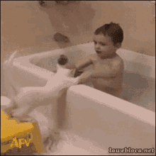 Funny Baby GIF - Funny Baby Cute GIFs