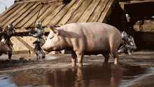 chivalry2 knight pig stealing steal