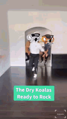 Dry Dry Koala GIF - Dry Dry Koala Koala GIFs