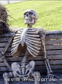 a skeleton is sitting on a wooden bench with the words " me still trying to get one "