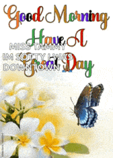 a butterfly is sitting on a flower with the words good morning miss tammy im sotty i was down town
