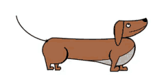 dachshund dachsund animation dog animation tail wagging