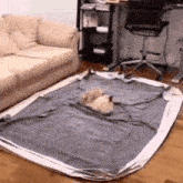 a dog is laying on top of a blanket in a living room next to a couch .