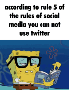 Twitter Rules Twitter GIF - Twitter Rules Twitter Twitter Meme GIFs