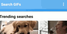 Trending Searches Gif GIF - Trending Searches Gif Scroll GIFs