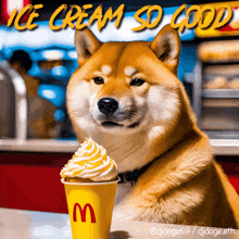 Doge Ice Cream GIF - Doge Ice Cream Ice Cream So Good GIFs