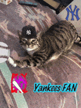 a cat wearing a yankees hat is laying on a rug