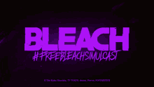 Bleach Freebleachsimulcast Postary GIF - Bleach Freebleachsimulcast Postary Postaryxvii GIFs
