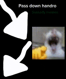 a poster that says pass down handro soskoify memes on it
