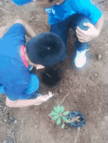 Working Naturalize GIF - Working Naturalize Planting GIFs