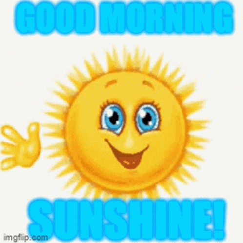 Sunshine Good GIF – Sunshine Good Morning – discover and share GIFs