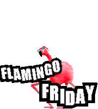 Flamingo Friday Flamingo Sticker - Flamingo Friday Flamingo Friday Stickers