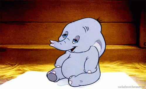 baby elephant gif tumblr