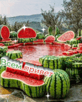 a pool of watermelons with the words " всем привет " written on the bottom