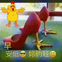 Chicken Funny Shoes GIF - Chicken Funny Shoes Laughing GIFs