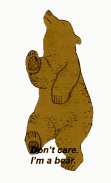 Bear Dancing GIF - Bear Dancing Dont Care GIFs