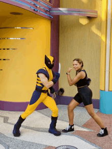 Kelsey Wolverine GIF - Kelsey Wolverine GIFs