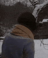 a woman wearing a scarf stands in the snow