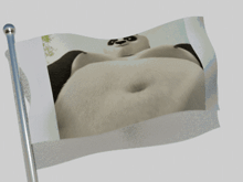 a panda bear 's belly is shown on a small flag