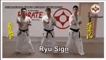 ryu sign sign karate ikak kyokushinryu