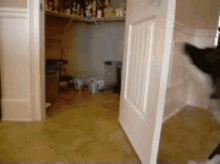 Dogs Play GIF - Dogs Play Close GIFs