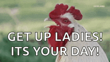 a white rooster with a red crest is saying get up ladies its your day .